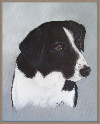 Dog Portrait of Sam