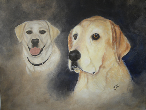  Portrait of Labrador Retrievers - Maxie and Buddy