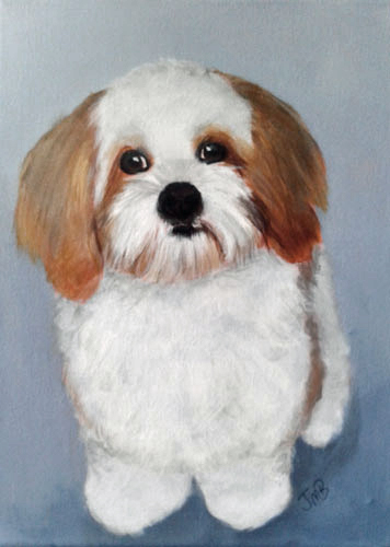 Dog Portrait of Emma's Puppy