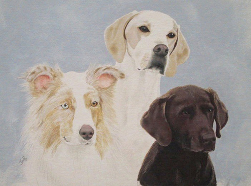  Portrait of Fran's Dogs