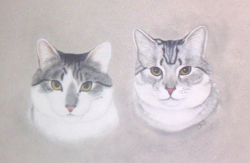  Portrait of Gail's Cats