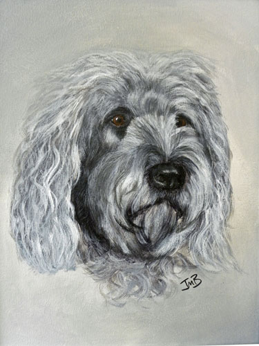  Portrait of Poodle Cross - Marley