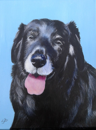 Dog Portrait of Max