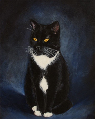 Cat Portrait of Murphy