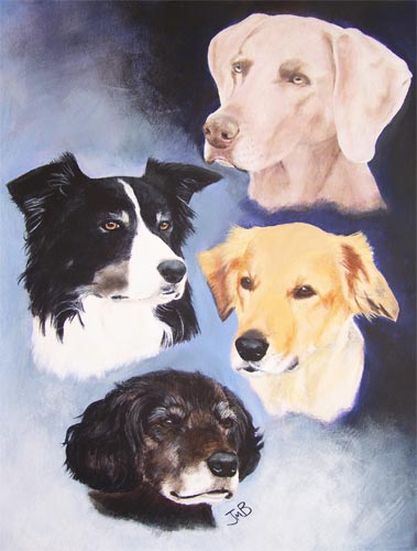  Portrait of Janey, Britt, Boomer and Molly