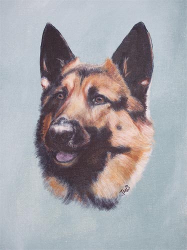 Dog Portrait of German Shepard - Perrot