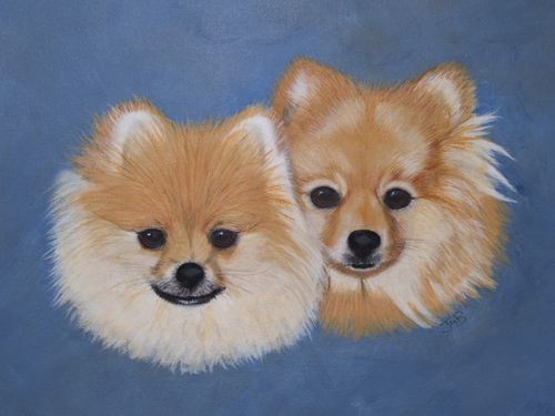  Portrait of Pomeranians Sandi and Amber