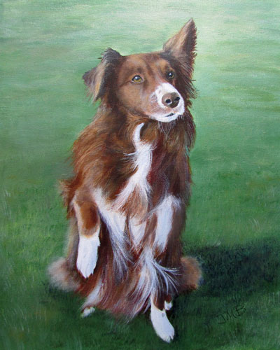 Dog Portrait of Border Collie, Ruby
