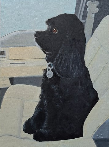 Dog Portrait of Spaniel, Sami