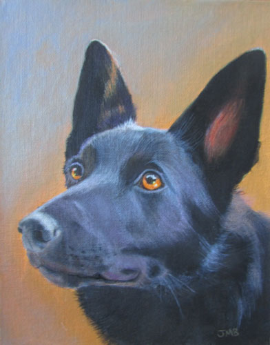 Dog Portrait of Tosh